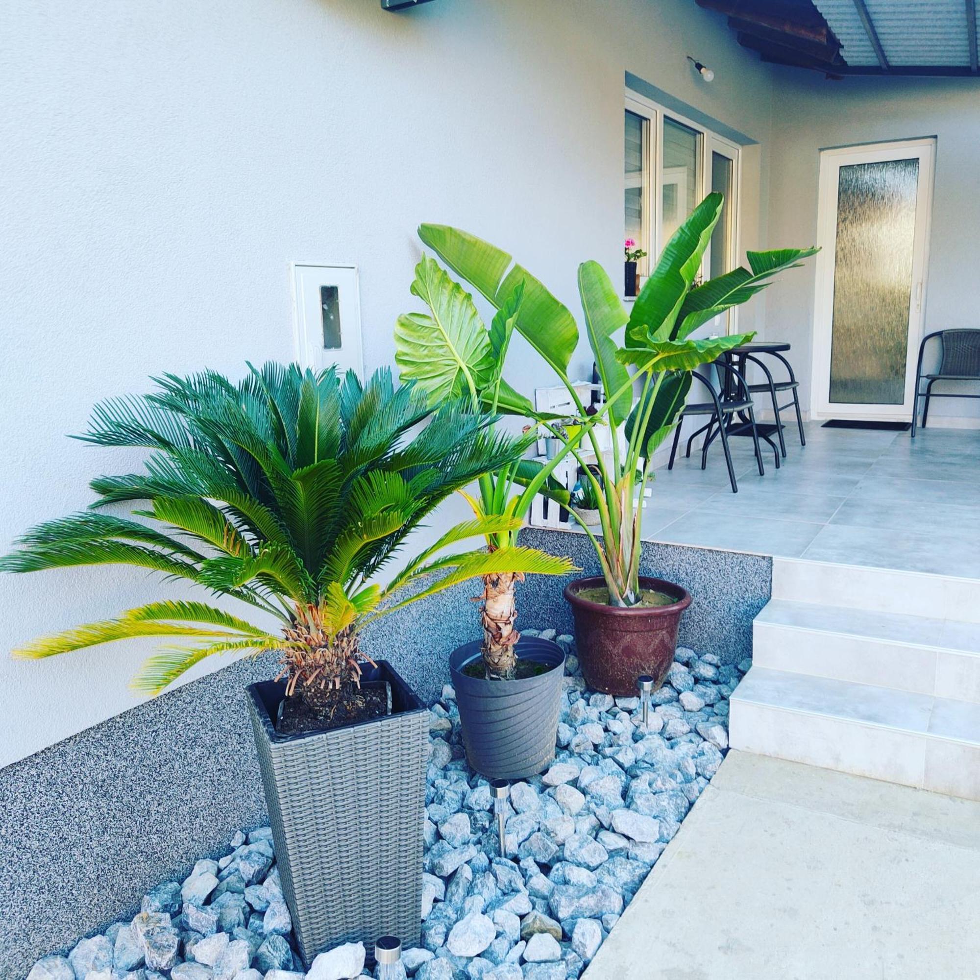 Apartmani Sun & Moon Bjelovar Bagian luar foto